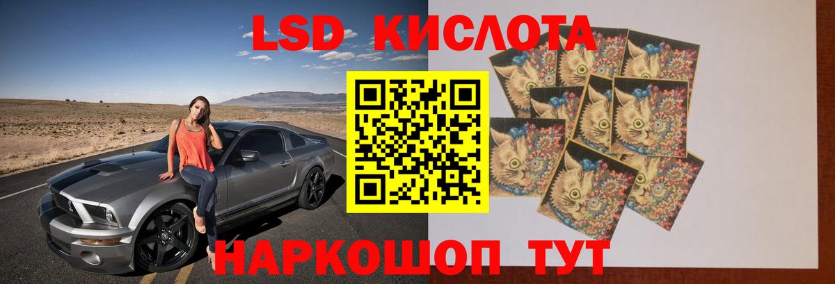 Камышлов  Лсд 25 экстази кислота  Лсд 25 экстази  Вход с VPN 