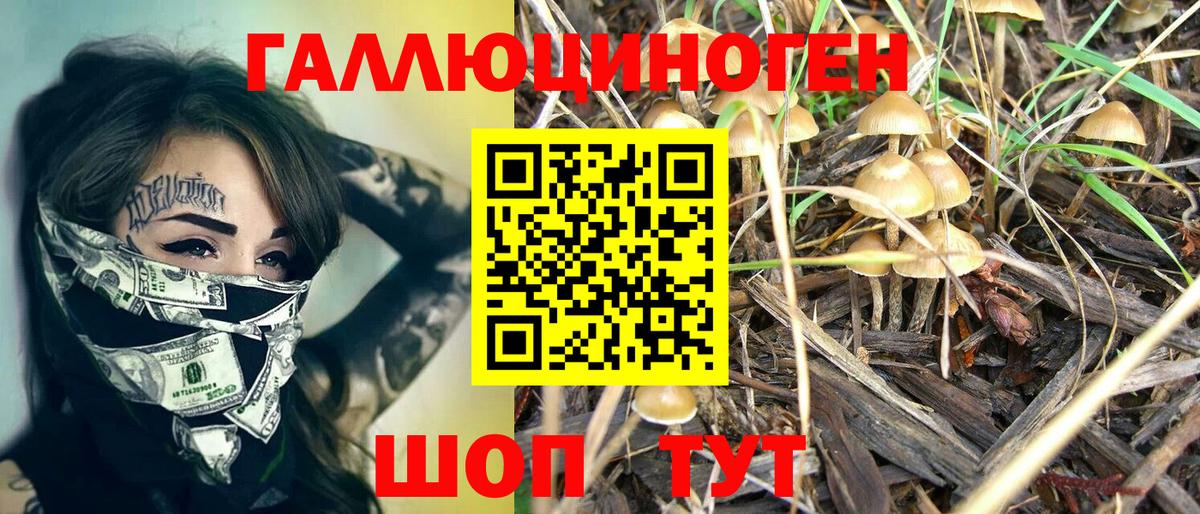 Галлюциногенные грибы GOLDEN TEACHER Камышлов